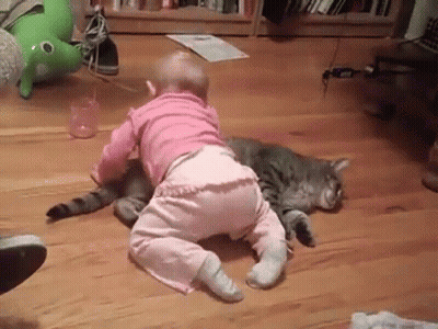 A Baby Is Crawling On Top Of A Cat On The Floor . GIF