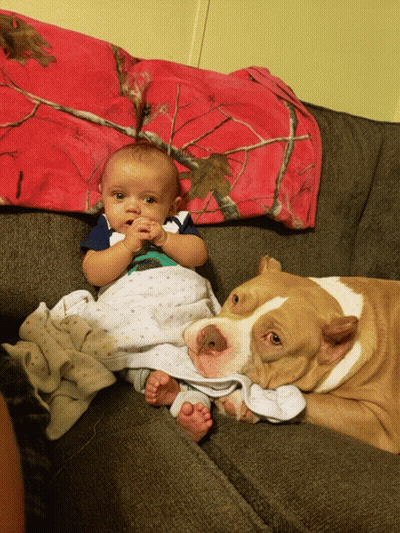 A Baby Is Laying Next To A Dog On A Couch GIF