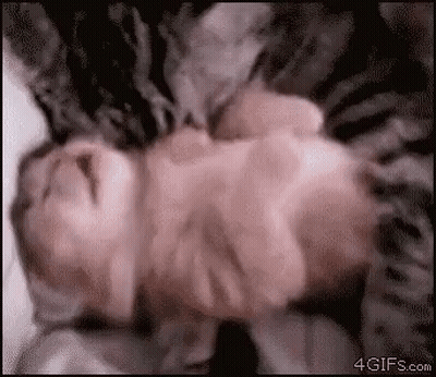 A Baby Is Laying On Its Back On A Bed And Looking At The Camera . GIF