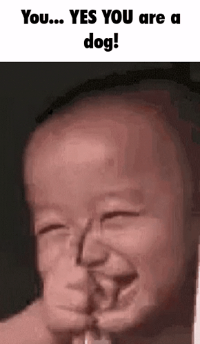 A Baby Is Making A Funny Face And Says `` Yes You Are A Dog ! '' GIF