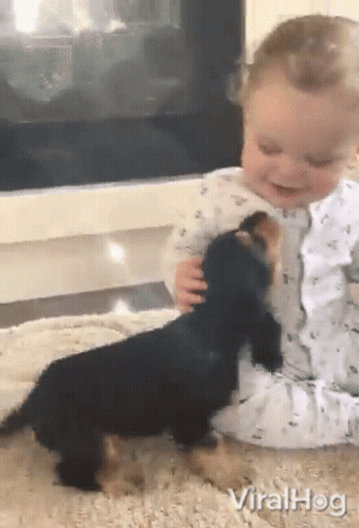 A Baby Is Petting A Small Black Dog While Sitting On The Floor .. GIF