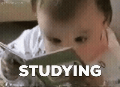 A Baby Is Reading A Book And The Word Studying Is On The Bottom Of The Picture . GIF