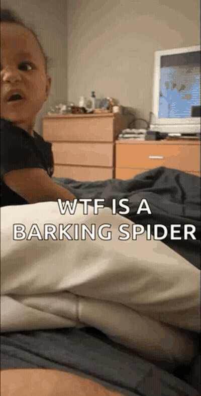 A Baby Is Sitting On A Bed With The Words Wtf Is A Barking Spider GIF