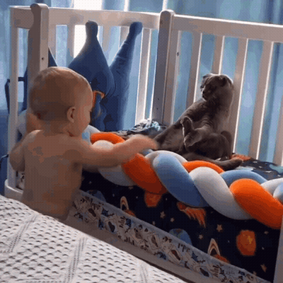 A Baby Is Standing In A Crib With Two Cats GIF