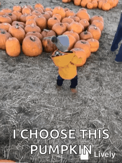A Baby Is Standing In Front Of A Pile Of Pumpkins . GIF