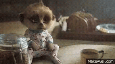 A Baby Meerkat Is Sitting On A Table Next To A Cup Of Coffee And A Jar Of Cereal . GIF