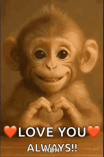A Baby Monkey Is Making A Heart Shape With Its Hands And Smiling . GIF