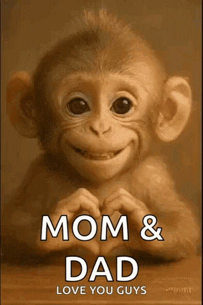 A Baby Monkey Is Making A Heart With Its Hands And Smiling . GIF