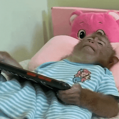 A Baby Monkey Laying On A Bed With A Book GIF