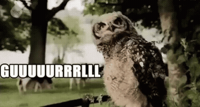 A Baby Owl Is Standing Next To A Tree In A Park And Making A Funny Face . GIF