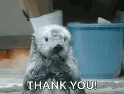 A Baby Sea Otter Is Standing On Its Hind Legs And Saying Thank You . GIF