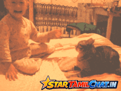 A Baby Sitting On A Bed Next To A Cat With A Star Tamilchat.in Logo On The Bottom GIF