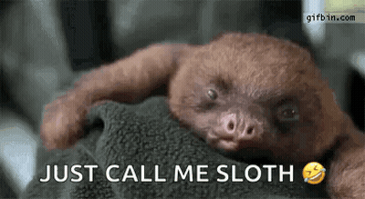 A Baby Sloth Is Laying On Top Of A Blanket And Says `` Just Call Me Sloth '' . GIF