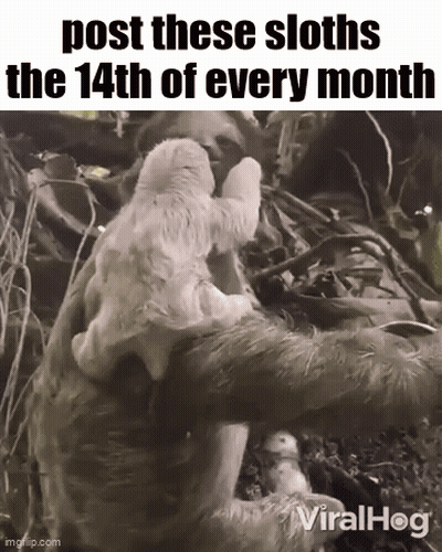 A Baby Sloth Is Sitting On A Sloth 'S Back . GIF