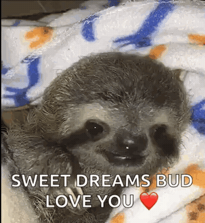 A Baby Sloth Is Wrapped In A Blanket And Smiling . GIF