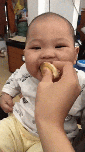 A Baby Wearing An Adidas Shirt Is Being Fed A Piece Of Food GIF