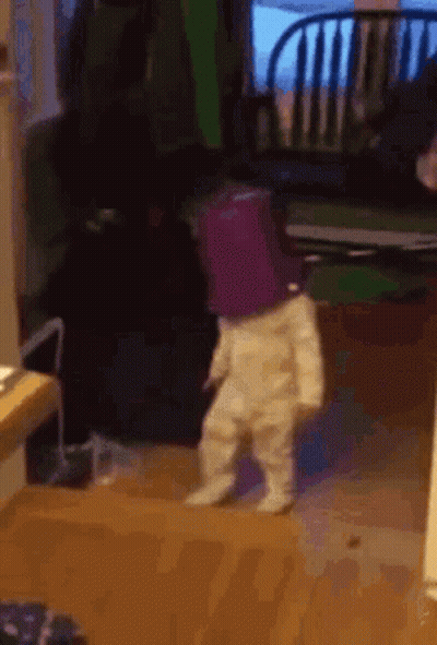 A Baby With A Purple Bucket On Its Head Is Walking In A Living Room . GIF
