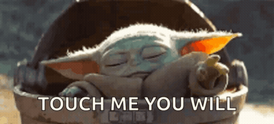 A Baby Yoda Is Sleeping In A Bucket With The Words `` Touch Me You Will '' Written On It . GIF