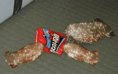 A Bag Of Doritos Is Laying On The Floor Next To Some Fish GIF