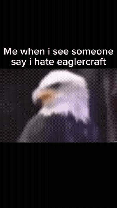 A Bald Eagle Is Sitting In Front Of A Black Background . GIF