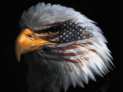 A Bald Eagle With An American Flag Painted On It 'S Face GIF