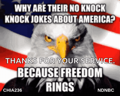 A Bald Eagle With The Words Why Are Their No Knock Knock Jokes About America Thanks For Your Service Because Freedom Rin GIF