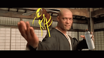 A Bald Man Is Holding A Spray Can And A Bee On His Head .. GIF