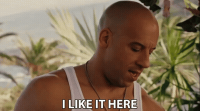 A Bald Man Says I Like It Here In Front Of Palm Trees GIF