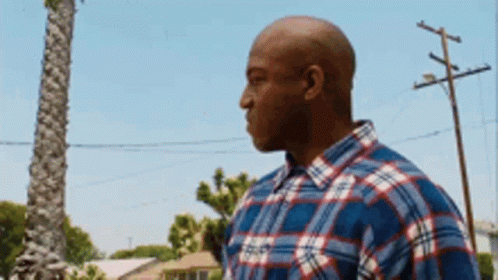 A Bald Man Wearing A Plaid Shirt Is Standing In Front Of A Palm Tree And Power Lines . GIF
