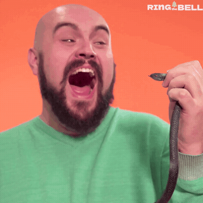 A Bald Man With A Beard Is Holding A Snake In Front Of An Orange Background With Ring The Bell Written On It GIF