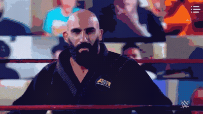 A Bald Man With A Beard Is In A Wrestling Ring With A W Logo In The Background GIF