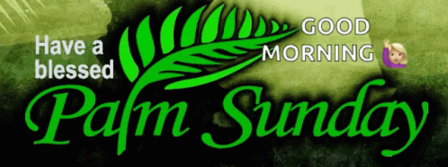 A Banner That Says Have A Blessed Palm Sunday And Good Morning GIF