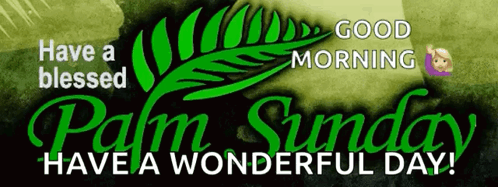 A Banner That Says Have A Blessed Palm Sunday And Have A Wonderful Day GIF