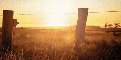 A Barbed Wire Fence In A Field With The Sun Setting In The Background GIF
