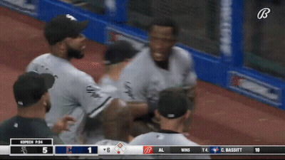 A Baseball Game Is Being Played Between The White Sox And The Alligators GIF