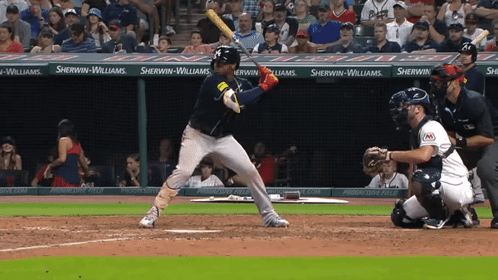 A Baseball Player Getting Ready To Hit A Ball With Sherwin-Williams Advertisements In The Outfield GIF