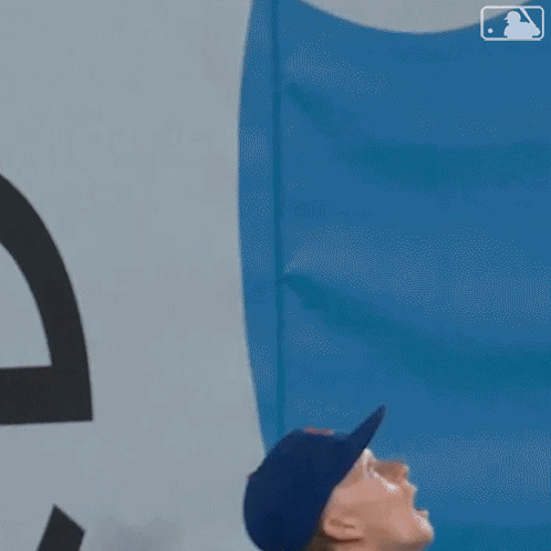 A Baseball Player In A Blue Hat Is Holding A Baseball Glove In His Hand . GIF