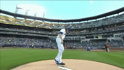 A Baseball Player Is Getting Ready To Throw The Ball In A Stadium GIF