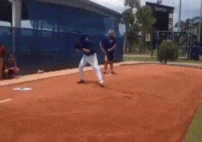A Baseball Player Is Throwing A Ball On A Baseball Field GIF