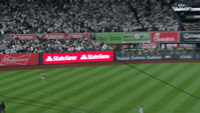 A Baseball Stadium With A Budweiser Ad On The Wall GIF