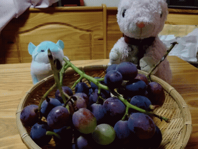 A Basket Of Grapes Sits On A Wooden Table With A Stuffed Animal In The Background GIF