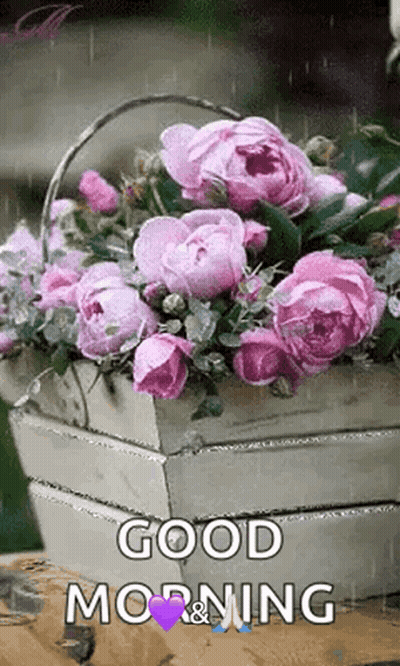 A Basket Of Pink Flowers With The Words `` Good Morning '' Written On It GIF