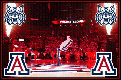 A Basketball Court With The Letters Aa And Tommy Lloyd In The Background GIF