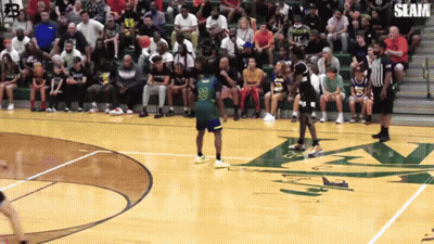 A Basketball Game Is Being Played In Front Of A Crowd With The Number 30 On The Player 'S Jersey GIF