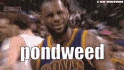 A Basketball Player In A Golden State Warriors Uniform Says Pondweed GIF