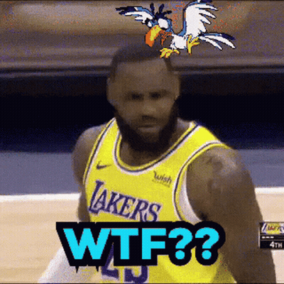 A Basketball Player With A Bird On Top Of His Head And The Words Wtf On The Bottom GIF