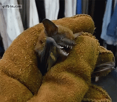 A Bat Is Being Held In A Glove With The Website Gifbin.com Visible GIF