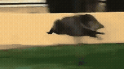 A Bat Is Flying Through The Air In A Stadium . GIF