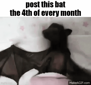 A Bat Is Sitting On A Person 'S Head . GIF