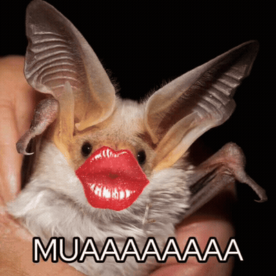 A Bat With Red Lips Is Being Held In Someone 'S Hand With Muaaaa Written Below It GIF